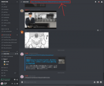 Discordサーバー内でビデオチャットや画面共有を快適にする方法 Go Liveよりも快適に Frontl1ne フロントライン